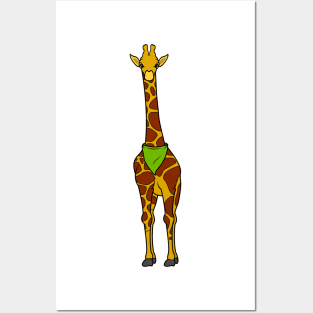 Giraffe with Scarf Posters and Art